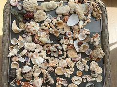 -三亚海棠湾喜来登度假酒店
