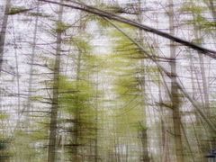 -石燕湖生态旅游景区