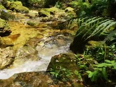 -飞霞风景名胜区