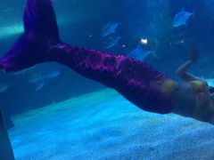 -常州海昌海洋探索馆