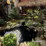 本地人推荐的果然没踩雷…..
