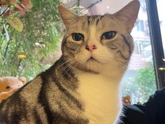 -咖法森林·咖啡  酒吧(天河店)