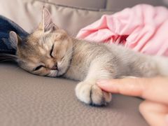 -美联众合24小时·皮肤科·外科·全科诊疗中心(华苑分院)