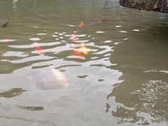 -陶祖圣境风景区