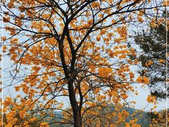 -中国移动南方基地