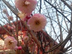 android_upload_pic-万佛塔公园