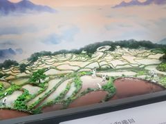 -中国湿地博物馆