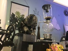 -平行世界·猫咖(首经贸店)