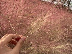 -映月湖中央公园