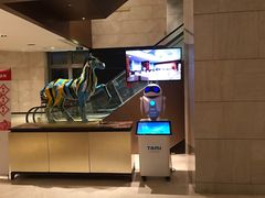 -武汉马哥孛罗酒店