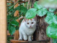 -西安电影制片厂