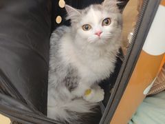 -宠颐生中康贝怡动物医院