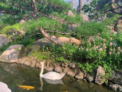 -罗红摄影艺术馆