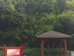 -火炉山森林公园