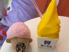 -野人先生现做冰淇淋(北京王府井东方新天地店)