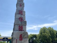 -中国扬子鳄村