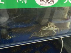 -阳澄湖大闸蟹·琼灵阁牌品牌连锁(吴中总店)