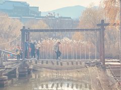 -长兴太湖图影湿地文化园