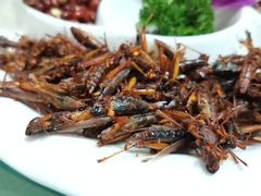 -山菌美食苑(振兴路店)