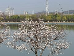 -羊山湖公园