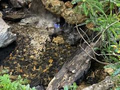 -颐而康按摩(八一桥总店)