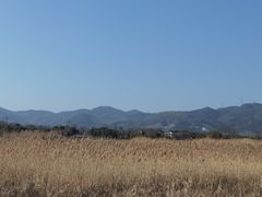-良渚古城遗址公园