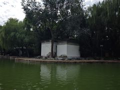 -团结湖公园
