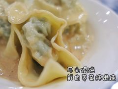 荠菜肉冷馄饨-潘国仙耳光馄饨(黄家阙路店)