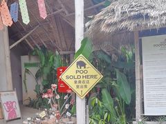 -大象粑粑造纸公园