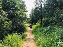 -北京鹫峰国家森林公园