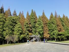 -同里国家湿地公园