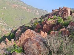 -伏羲山旅游区