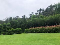 -棒棰岛宾馆景区