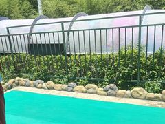 -上海玛雅海滩水公园