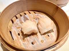 原汁鲜虾饺-利苑酒家(华熙国际店)