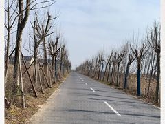 -盐城丹顶鹤湿地生态旅游区