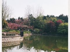 -嘉定紫藤园