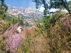 -崂山巨峰游览区