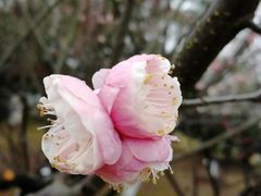 -白塘生态植物园