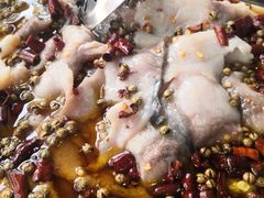 -金三可市井水煮鱼(金碧园店)