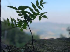 -金堂县云顶石城风景区