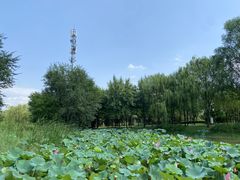 -北坞公园