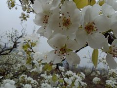 -金台阶鱼馆(于桥水库店)