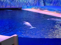 -珠海长隆海洋王国