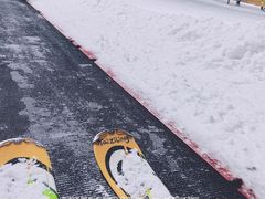 -采薇庄园四季滑雪场