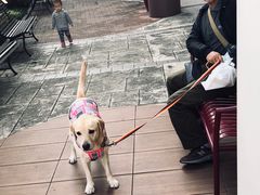 -三井奥特莱斯购物城(爵士之梦长岛店)