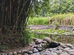 -成都市活水公园