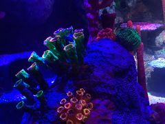 -沈阳海洋探索中心