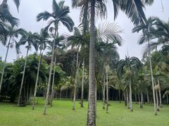 -中国科学院西双版纳热带植物园