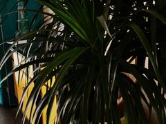 -老房子金沙元年川菜食府·花园餐厅(金沙店)